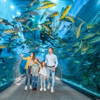 Dubai Aquarium & Underwater Zoo: Entry Ticket + Penguin Encounter 6