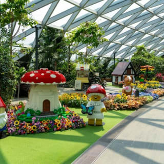 Jewel Changi Airport: Entry Ticket 14