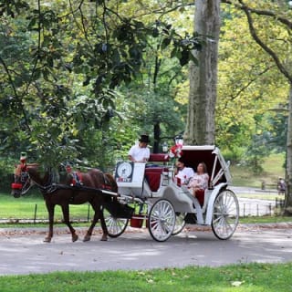 Offizielle Pferdekutschenfahrten in Central Park seit 1979 ™ 57