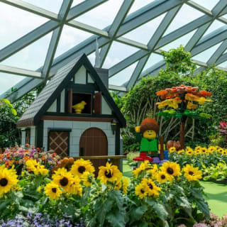Jewel Changi Airport: Entry Ticket 15