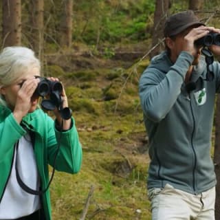 Evening Wildlife Safari Stockholm 15