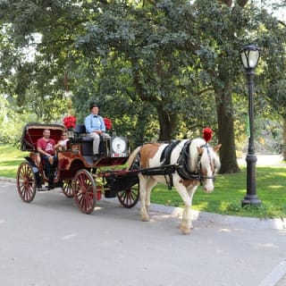 Offizielle Pferdekutschenfahrten in Central Park seit 1979 ™ 58