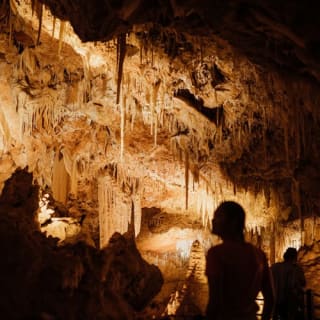 Ngilgi Cave Ancient Lands Experience 7