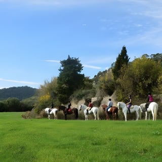 Horseback Riding in Randa Valleys, Mallorca, Spain 5
