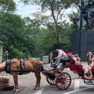 Offizielle Pferdekutschenfahrten in Central Park seit 1979 ™ 60