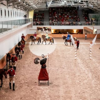 Escola Portuguesa de Arte Equestre: Treinamento Matinal 2