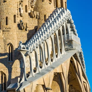 Visita guiada por el interior de la Sagrada Familia 8