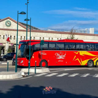 Paris : Transfert en bus aller simple de l'aéroport Charles de Gaulle à Disneyland 2