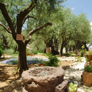 Vieille ville de Jérusalem et mont Sion au départ de Tel Aviv 3