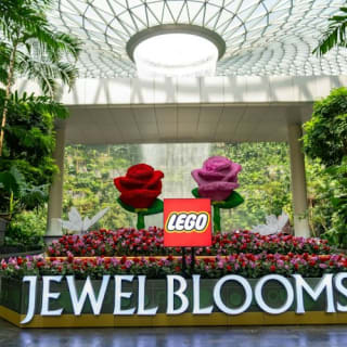 Jewel Changi Airport: Entry Ticket 19