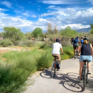 Tienda de bicicletas en Albuquerque 11