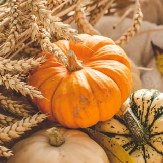 Prepárate para Halloween 3 1