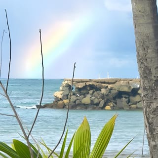 El Yunque Hike, Waterslide & Luquillo Kiosks Food with Transport 8