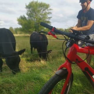 E-biking Central Forgotten Giants' s Adventure 3