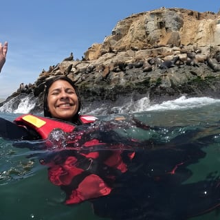 Nadar con Leones Marinos en Isla Palomino en Lima con Entradas 6
