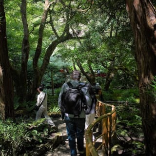 Victoria & Butchart Gardens: gita di un giorno da Vancouver 11