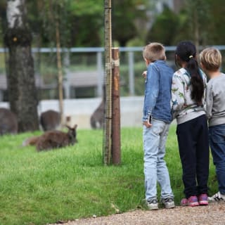 Copenhagen ZOO : billet coupe-file 25