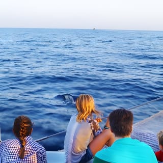 Bootsausflug bei Sonnenaufgang auf Mallorca mit Delfinbeobachtung 3