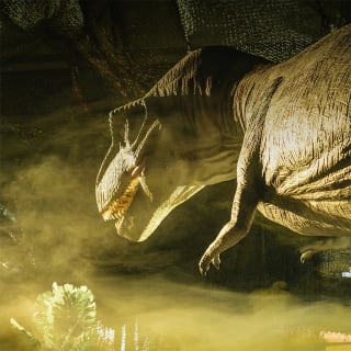 Dinos Alive: An Immersive Experience - Gift Card 4