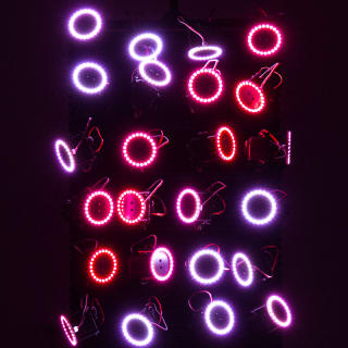 Light Art Museum: EGO - Várólista 2