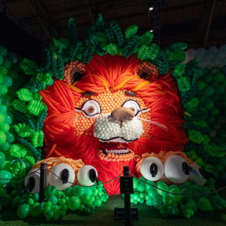 Balloon Story Perth - Waitlist 7