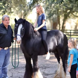 Gypsy Gold Horse Farm Tour 8