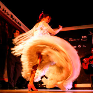 Corral de la Morería: Espectáculo de flamenco + Cena 4