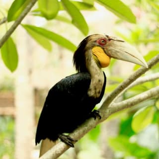 Lombok Wildlife Park: Entry Ticket 4