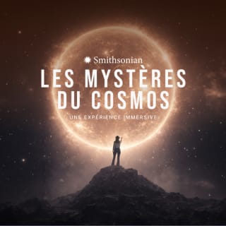 Smithsonian Les Mystères du Cosmos: Une Expérience Immersive 2
