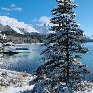 Autobús público de Calgary a Banff (Canmore) 6
