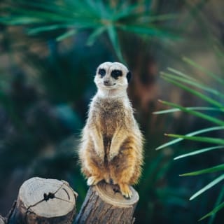 Entradas para el Zoo de Barcelona 3