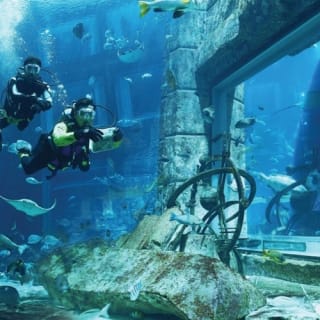 Dubai Aquarium & Underwater Zoo: Entry Ticket + Penguin Encounter 27