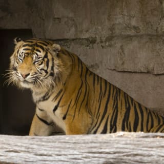 Entradas para el Zoo de Barcelona 2