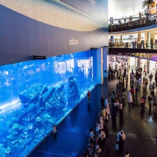 Dubai Aquarium & Underwater Zoo: Entry Ticket + Penguin Encounter 32