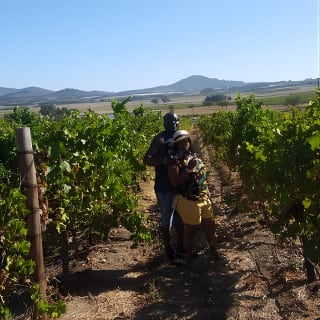 Robben Island Prison Museum + Stellenbosch Wineries Including Ferry Ticket F/D 24