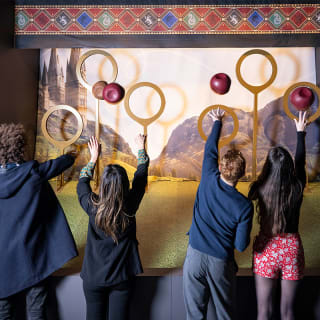 Harry Potter™: l’exposition - Carte-cadeau 5