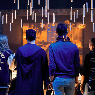 Harry Potter™: l’exposition - Carte-cadeau 6