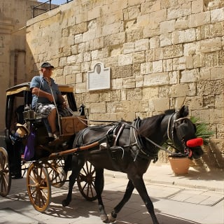 Half Day Shared Tour in Malta 2