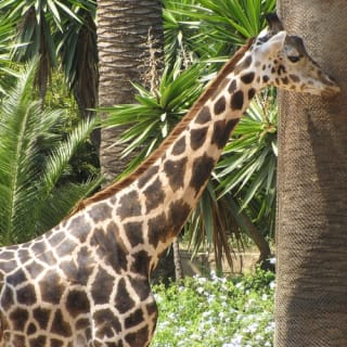 Entradas para el Zoo de Barcelona 5