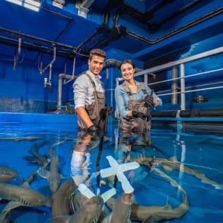Dubai Aquarium & Underwater Zoo: Entry Ticket + Penguin Encounter 37