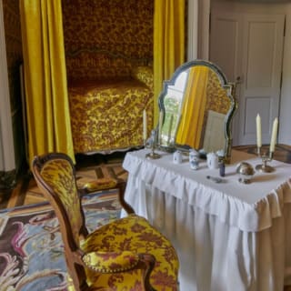 Visita al castello di Voltaire con biglietto salta fila 4