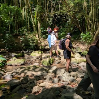 Charco Prieto Hidden Waterfall Adventure from San Juan 5