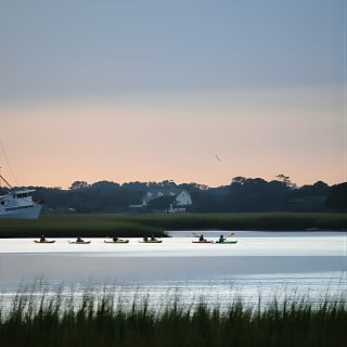 2-Hour Guided Kayak Eco Tour in Charleston 4