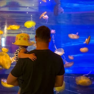 El Pase turístico flexible de Las Vegas: Entrada a 3 - 7 Atracciones 6