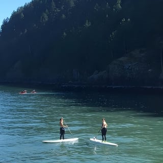 Morning Kayak & Seal Cruise 2
