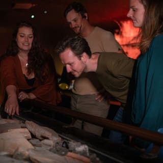 Utrecht: Ontdekkingstocht DOMunder 4