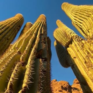 Epic Camelback Mountain Guided Hiking Adventure in Phoenix, Arizona 3