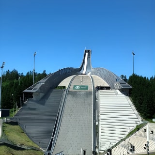 Oslo Panorama Tour with Holmenkollen Ski Jump and Vigeland Park 10