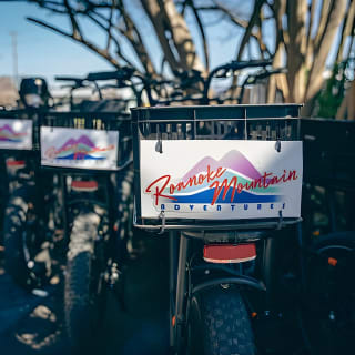 3-Hour E-Bike Sightseeing and Breweries Tour in Roanoke 3