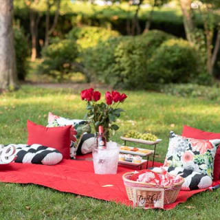 Experiencia privada de picnic en la Ciudad Reina 1